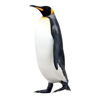 penguin